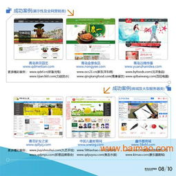 城阳网站建设指导 如何选择专业公司与合理定价